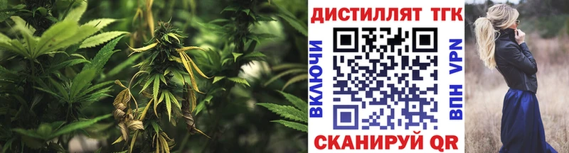 кракен ONION  Приморск  ТГК концентрат 