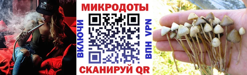 где продают наркотики  Приморск  Галлюциногенные грибы Cubensis 