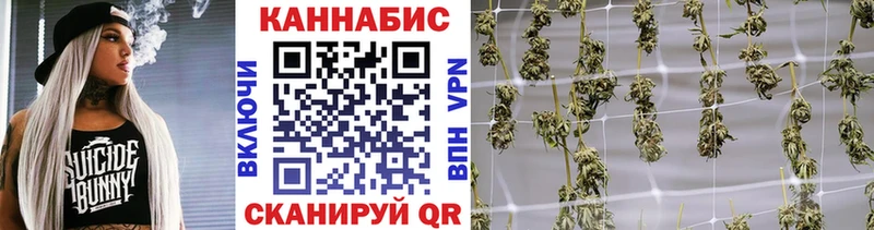 как найти закладки  Приморск  Каннабис MAZAR 
